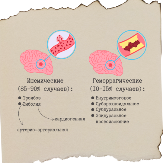 Классификация НМК2